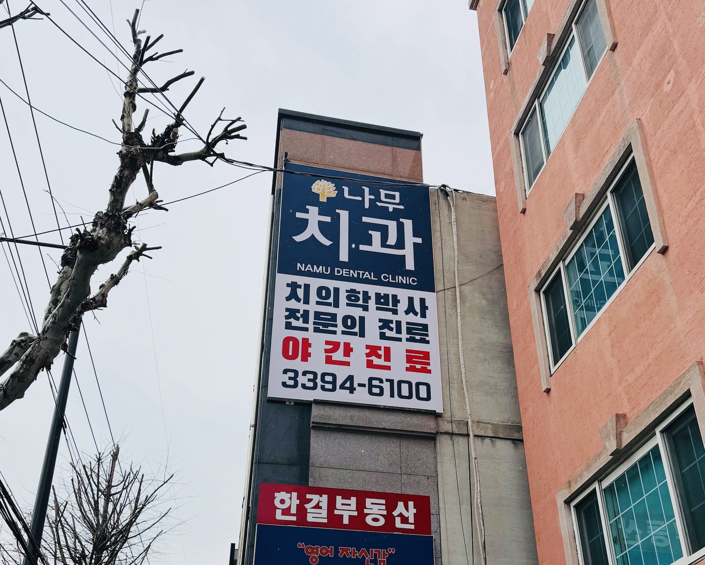 나무치과 포트폴리오 이미지